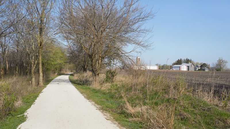 Along the Way 