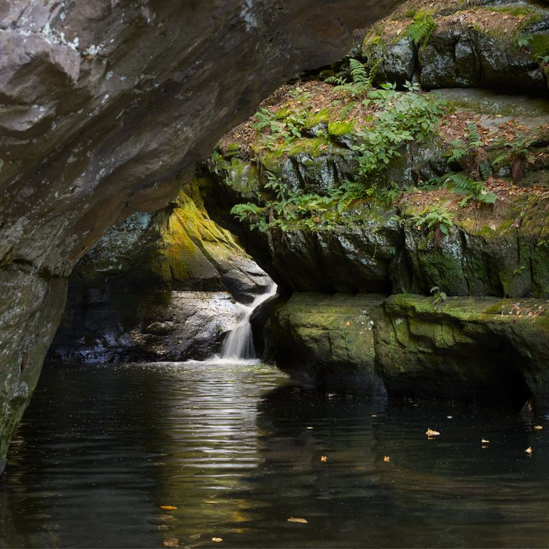 Interior of Pewits Nest 