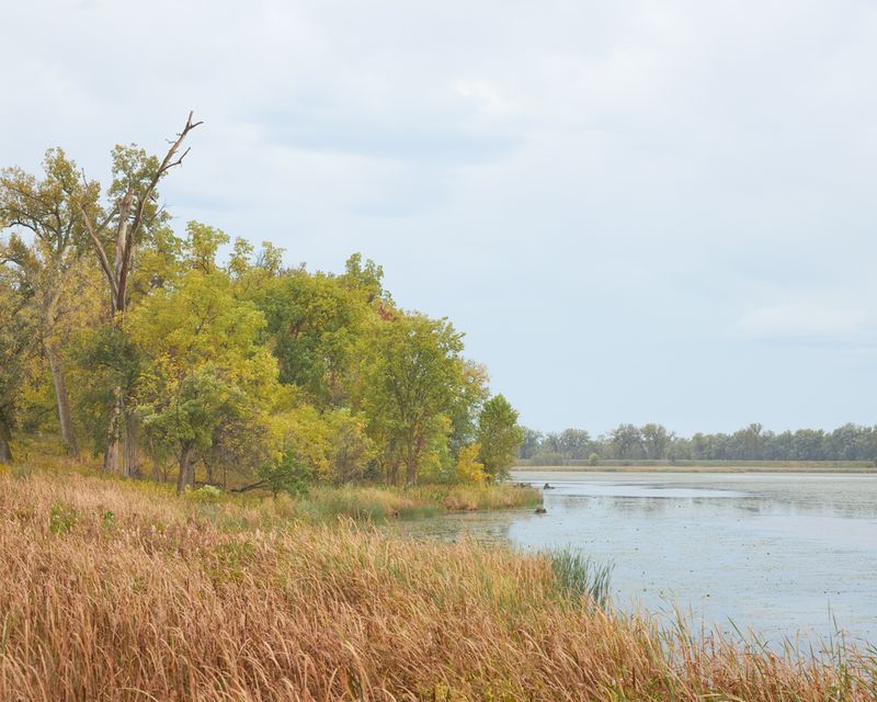 Clouds and Cattails 