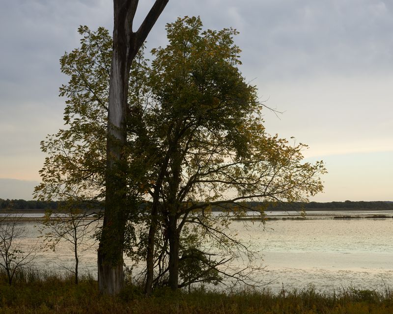 Shoreline Silhouette 