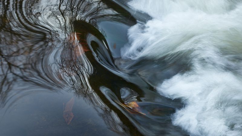 Chaos Reflected 