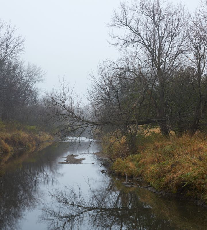 November Mist 