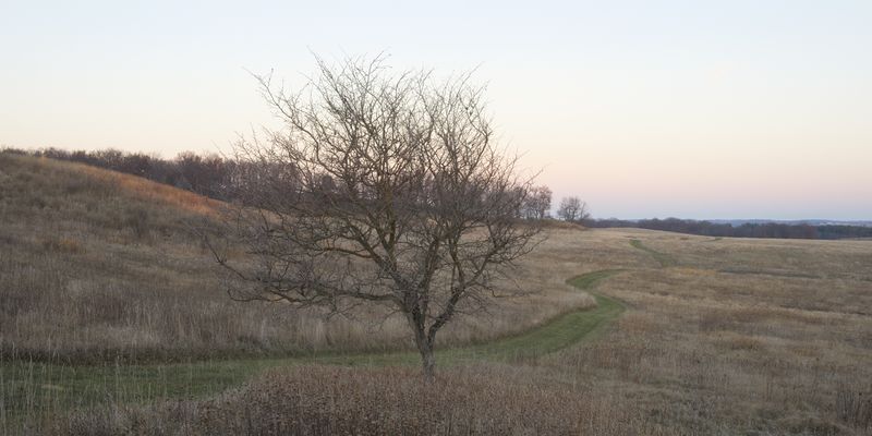 Edge of Day at the Edge of the Hill 