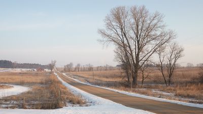 Lowden Road, February