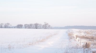 Field of Snow at Daybreak