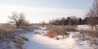 Little Rock Creek, February