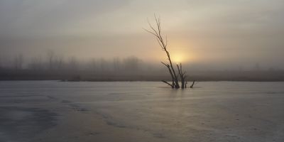 Sunrise Through the Fog