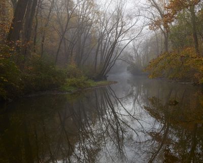 Morning Fog at Somonauk Creek