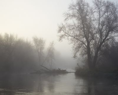 Kishwaukee Log Jam 