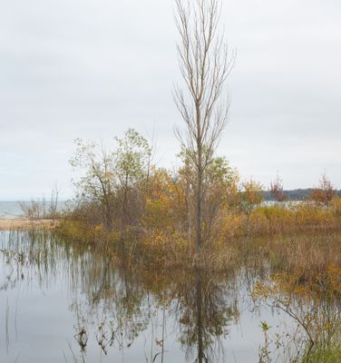 Lake Michigan Dune Pool