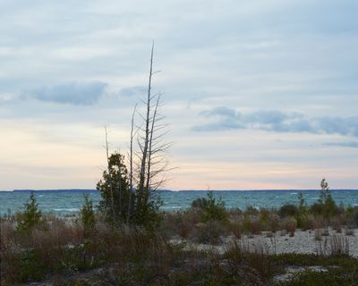 Cloudy Dawn at Big Stone Bay