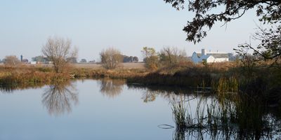 Haines Creek Pond 