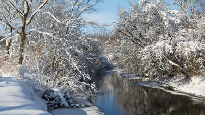 Upriver in DeKalb