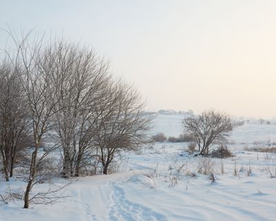 Winter Haze
