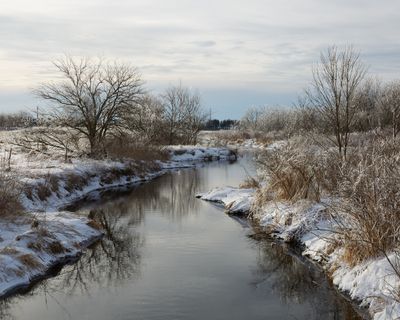 Ice at Little Rock Creek