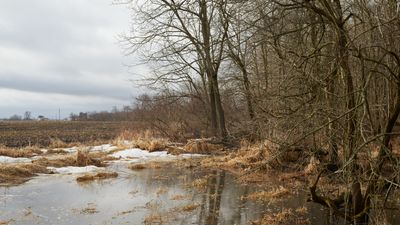 Field Pool