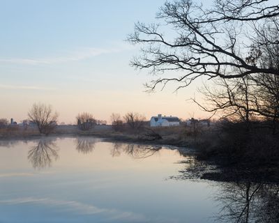 Morning at the Pond