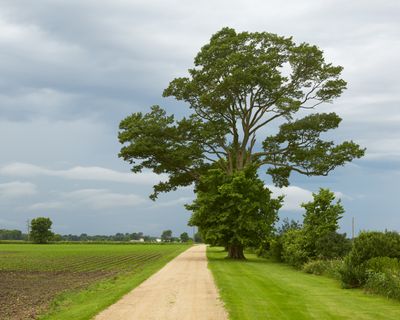 Incoming Rain
