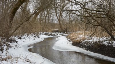 Lone Grove Meander 