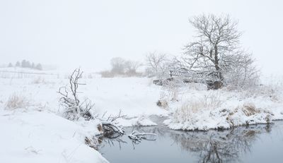 Snow and Fog at Little Rock Creek
