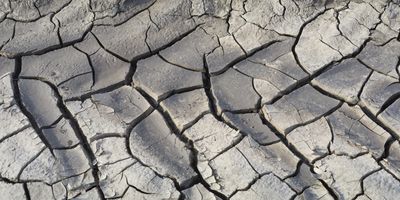Mudcracks 