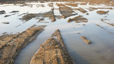 Mud Puddle and Reflected Sky 
