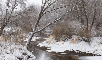 Kingsbury Creek in January 