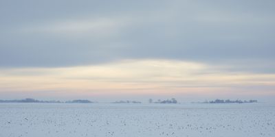 Morning Horizon 