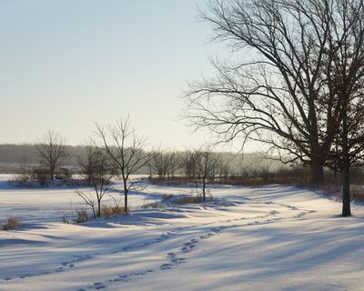 Shoreline Drifts