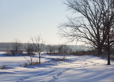 Shoreline Drifts 