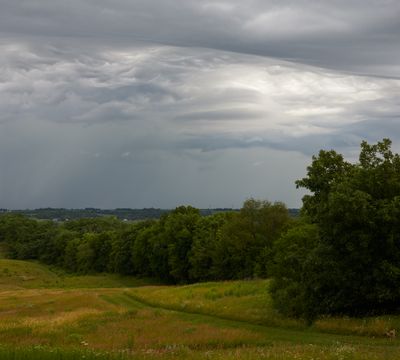 Summer Thundershower 