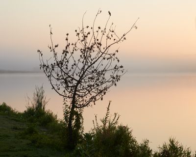 Foggy Daybreak at Shabbona Lake