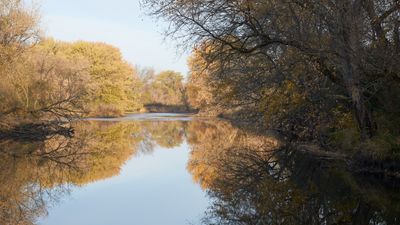 Autumn Downstream 