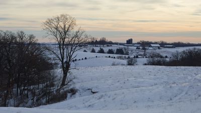 Fresh Snow on Rolling Terrain
