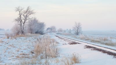 Morning Mist and Frost