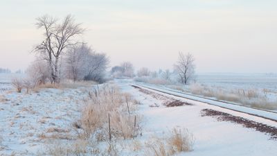 Morning Mist and Frost 