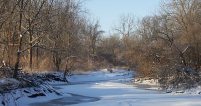 Early Morning, Late Winter 