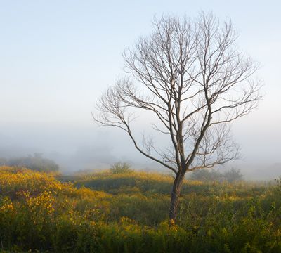 September Fog