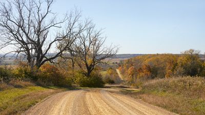 Rodden Road in Autumn