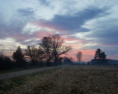 Harvested Corn Field 