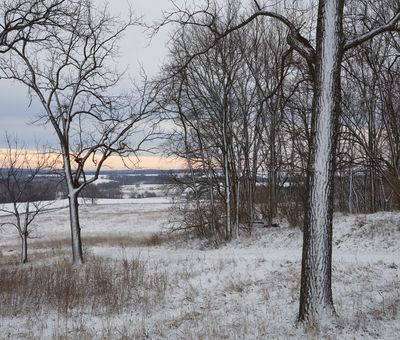 Winter Morning at Bald Hill Prairie 