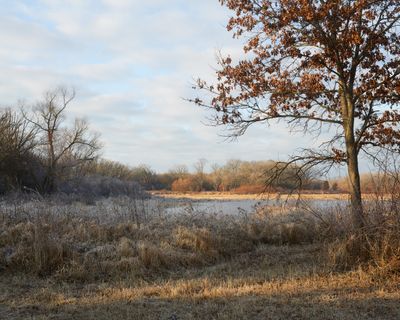 Edge of the Marsh