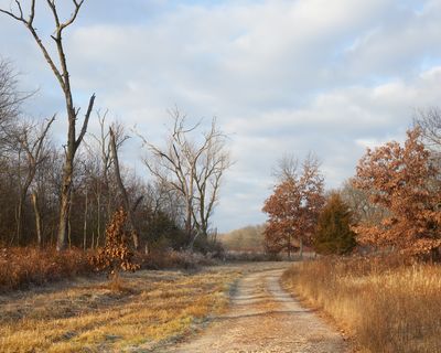 Marsh Trail