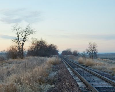 Along the Spur in November