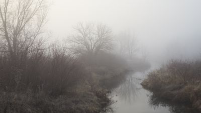 Little Rock Creek and Morning Fog 