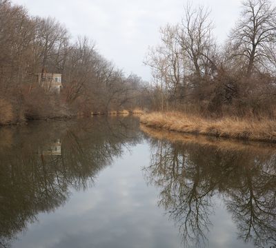 Along the Creek 