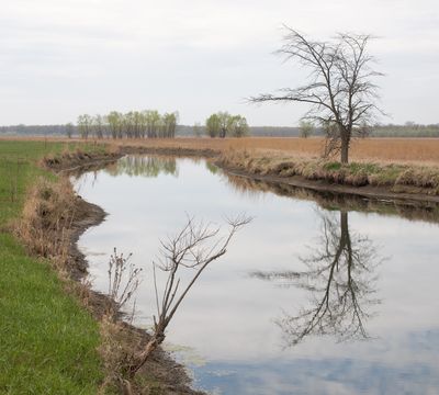 Muddy Slough 