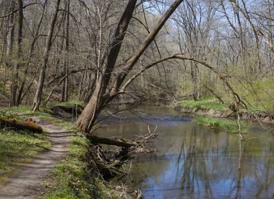 Spring Day at Franklin Creek 