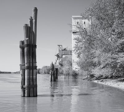 Pilings and Elevator 