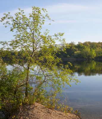 Edge of Siegler Lake 